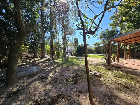 San Martín al 1900