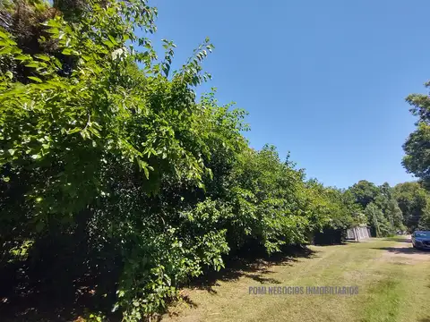 La Lonja Km 47 a 1 Cuadra de Chile y 900 m de Colectora. Lote 2311 m² Arbolado con Salida a 2 Calles