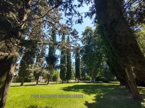 La Lonja Km 47 a 1 Cuadra de Chile y 900 m de Colectora. Lote 2311 m² Arbolado con Salida a 2 Calles