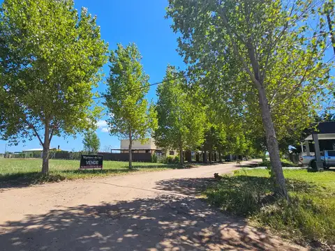 El Benteveo