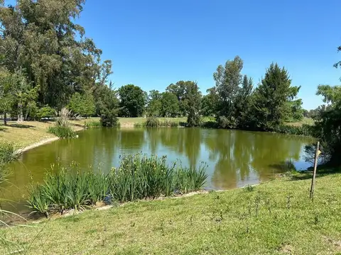 Terreno en Venta de 1293,0 m2