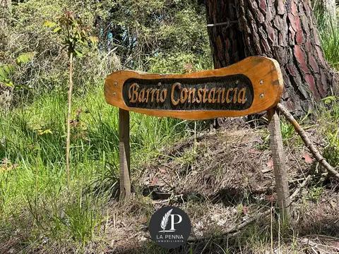 Constancia al 1500