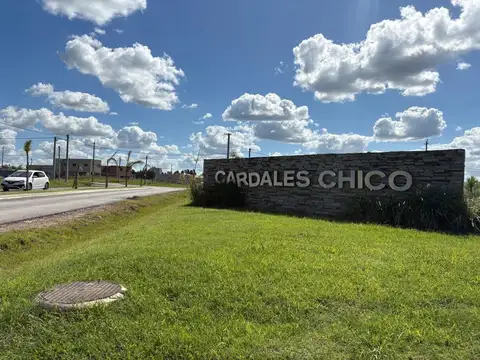 LOTE EN VENTA CAMPANA