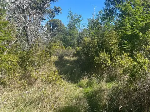 Terreno en Venta de 24000,0 m2