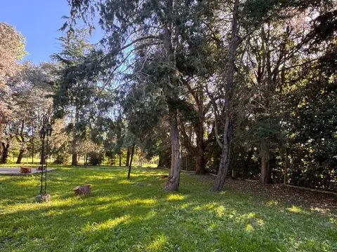 Quinta en Venta en Arturo Segui, USD 90.000