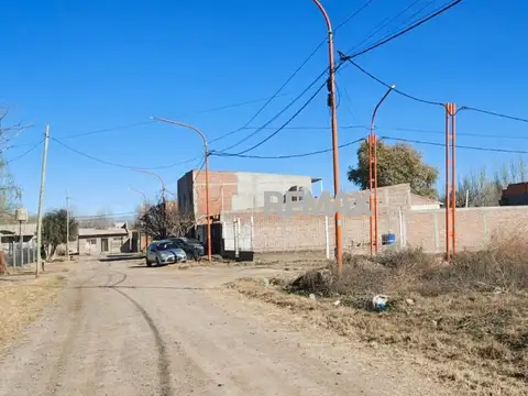 MARIA DEL CARMEN CARRERAS