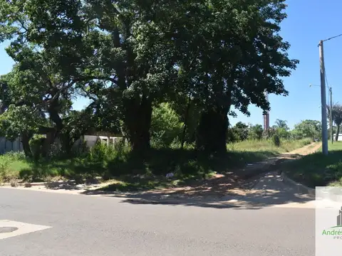 Sara Neira 100