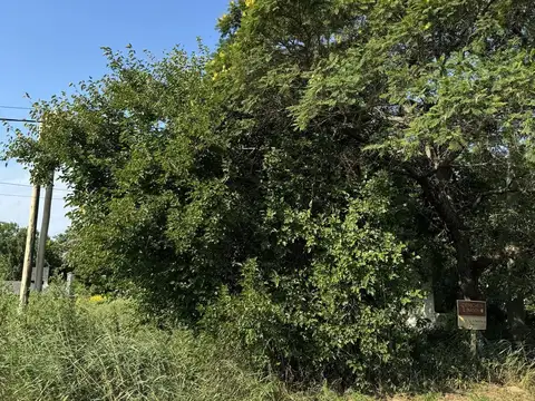 La Colmena S/N (Ruta 1 Km 8) San Jose del Rincon, Santa Fe