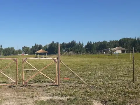 VENTA LOTE 50,02m X 88,41m ALAMBRADO  QUINCHO