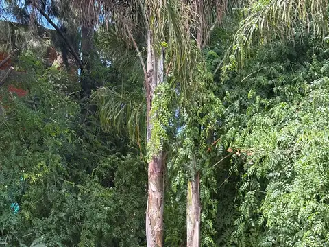 Casa en Venta en Countries y Barrios Cerrados en Tigre, USD 265.000