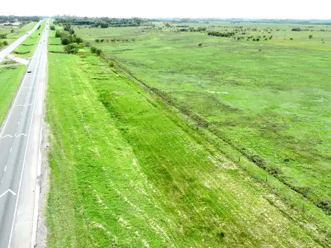 Campo ganadero sobre Ruta 9 Km. 108