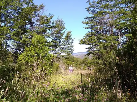 Terreno en Venta de 32416,0 m2