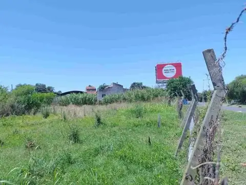 VENTA LOTE PALOMAR