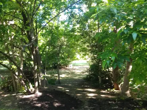 Ruta Provincial 210