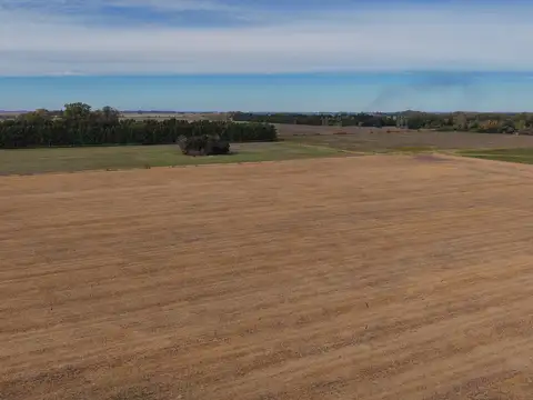 Campo en Venta Agrícola