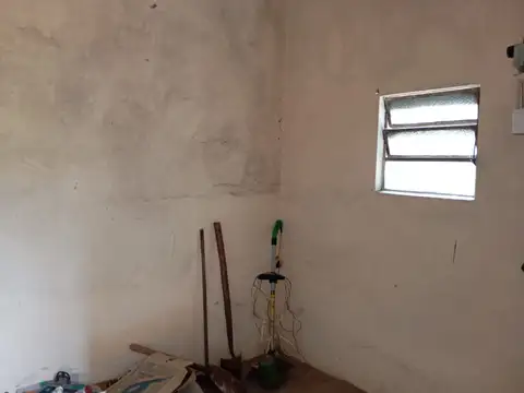 Leonismo Argentino 3000