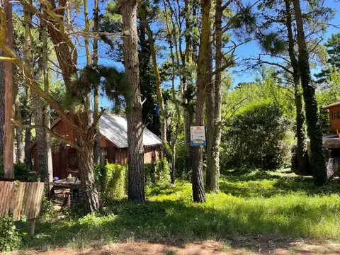 37 e/ Viña del Mar y Punta del Indio