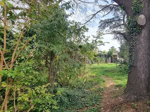 25 de Mayo y  Luis Pasteur