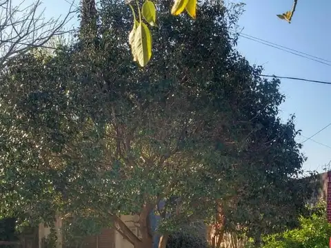 UNICO LOTE  435 M2 EN QUILMES OESTE  Se aceptan permutas en parte de pago 