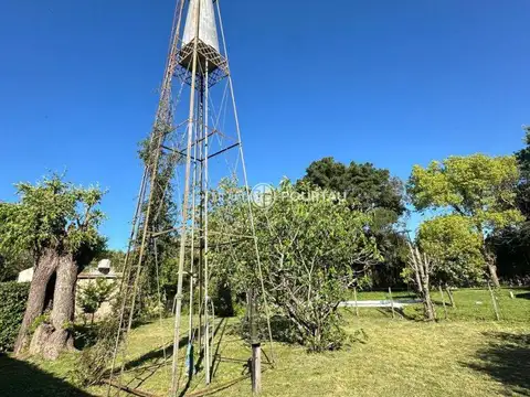 Los Alamos 100