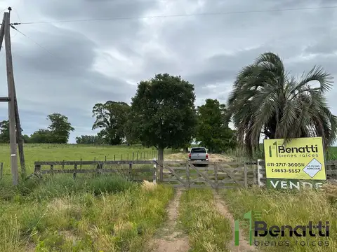 CAMPO 65,55HECTAREAS (655577 m2). VIVIENDA + GALPÓN DE 200M2