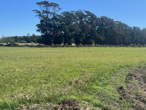 Terreno en venta - 748Mts2 - General Madariaga