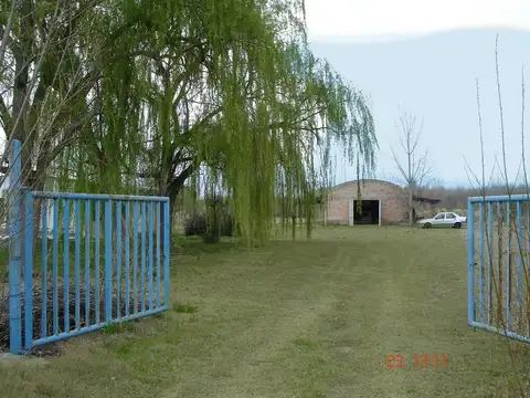 FINCA EN COLONIA LAS ROSAS, TUNUYAN