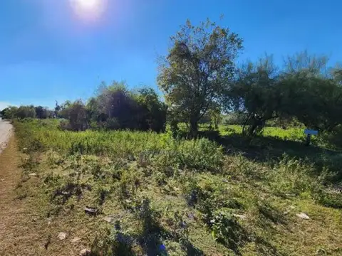 Terreno en Venta 124  mts Fondo