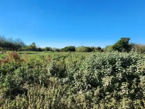 Terreno en Venta 101  mts Frente