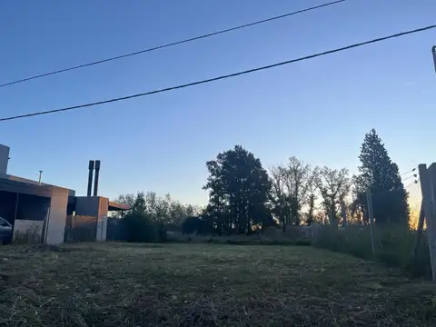 calle 101 e46 bis y 46