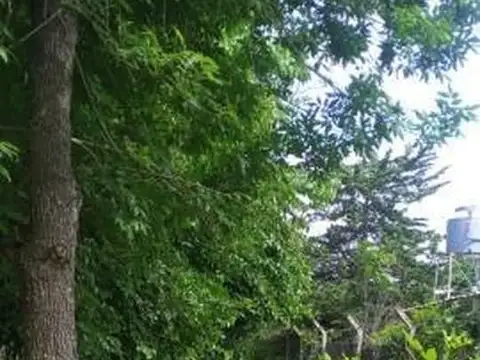 Quinta en Venta al Norte