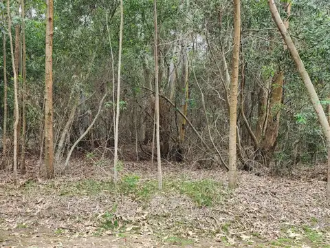 Terreno en Venta en Punta Ballena, USD 120.000