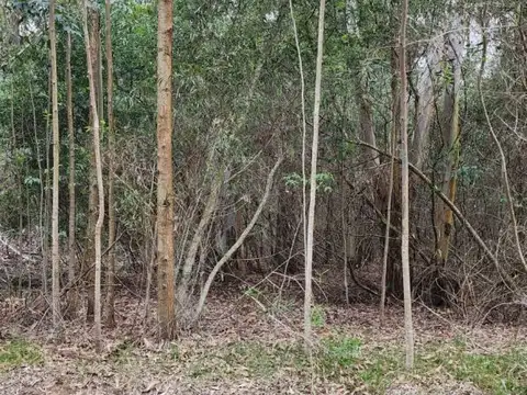 Venta lote Design Village- Punta Ballena