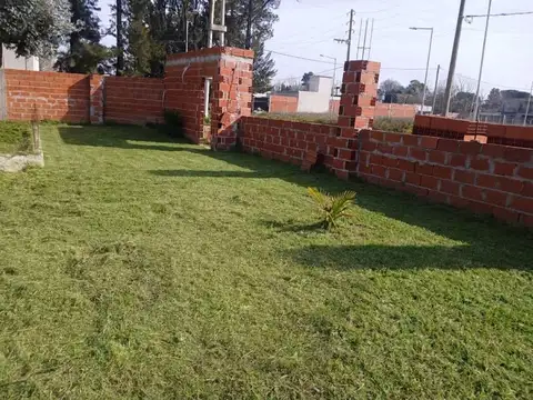Juan Gálvez 100