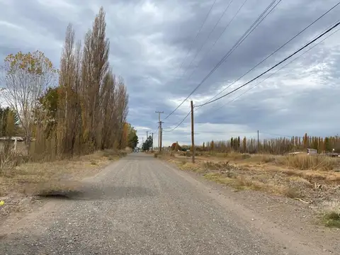 Terreno en Alquiler en Plottier, USD 2.500