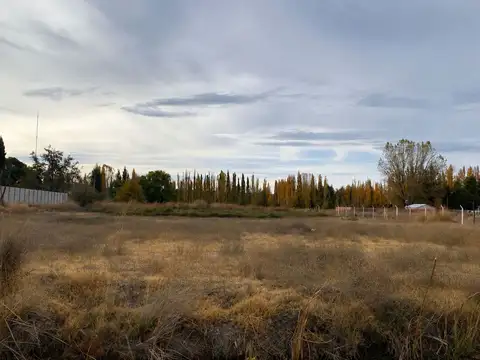 LOTE EN ALQUILER CON FRENTE DE RUTA