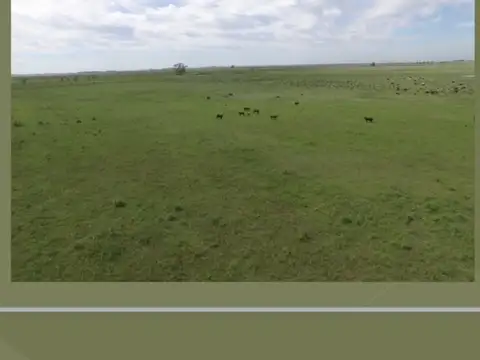 Terreno en Venta en Irigoyen, USD 1.000.000