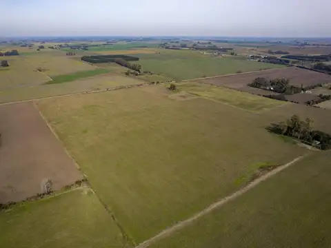 Campo de 5ha cercano ruta 41