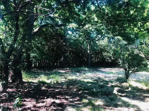 Terreno en Alquiler de 1300,0 m2