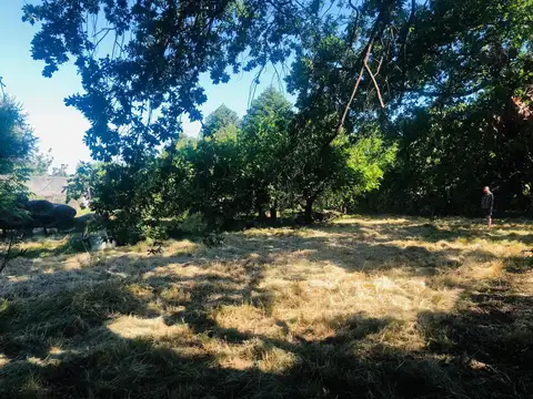 Alquiler de lote entrada Cardales