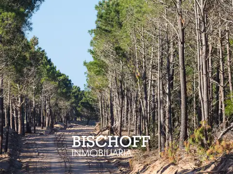 Terreno en Venta de 986,0 m2