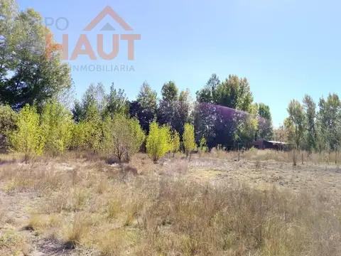 Chacra en  VENTA China Muerta Plottier