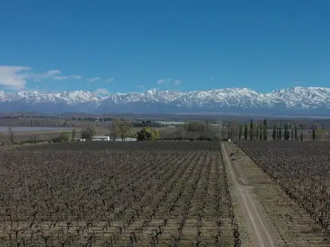 Terreno en Venta de 1000000,0 m2