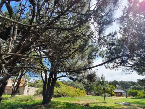 Terreno en Venta 12,50  mts Frente