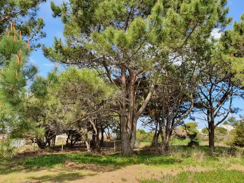 Terreno en Venta en Nueva Atlantis, USD 33.000