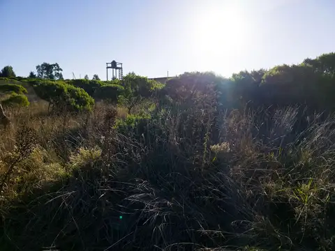 Terreno en Venta en Mar del Plata, USD 20.000