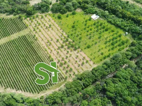 Terreno en Venta en Las Chacras, USD 280.000