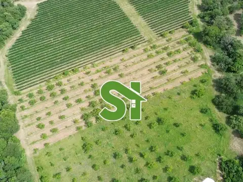 Terreno en Las Chacras