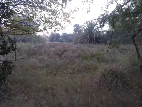 Terreno en Venta 2.000  mts Frente