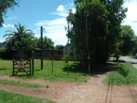 485 entre 29 y 30 , Piso 0